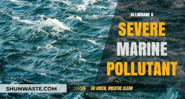 Lindane: A Marine Pollutant's Severe Impact