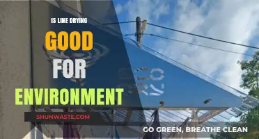 Eco-Friendly Laundry: The Environmental Benefits of Line Drying Clothes