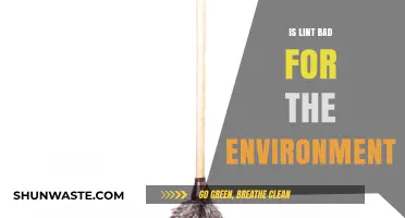 Lint's Environmental Impact: Uncovering the Hidden Harm in Our Homes