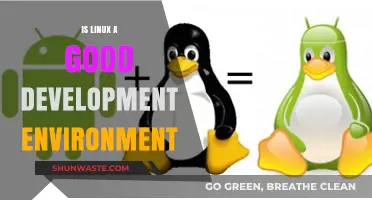 Linux as a Development Environment: Pros, Cons, and Best Practices