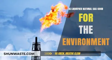 Liquefied Natural Gas: Environmental Savior or Climate Culprit?