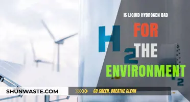Liquid Hydrogen's Environmental Impact: A Sustainable Fuel or Eco-Threat?