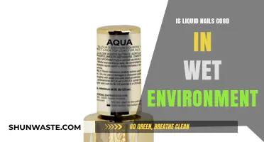 Liquid Nails in Wet Conditions: Durability and Performance Explained
