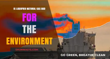 LNG's Environmental Impact: Clean Energy or Climate Culprit?