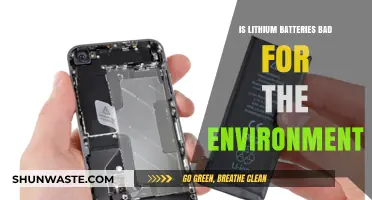 Are Lithium Batteries Eco-Friendly? Environmental Impact Explained