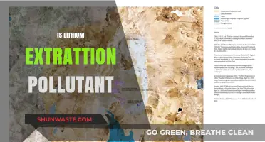 Lithium Extraction: Polluting Our Planet for Power?