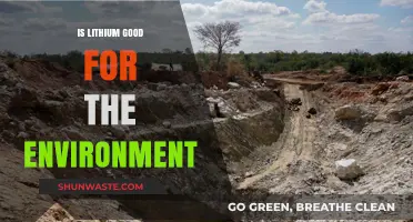 Lithium's Environmental Impact: Sustainable Solution or Hidden Ecological Challenge?