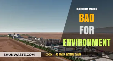 Lithium Mining's Environmental Impact: Sustainable or Detrimental to Ecosystems?