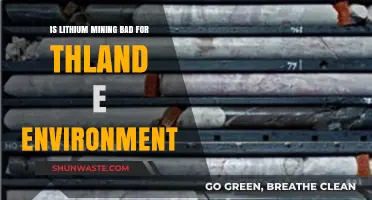 Lithium Mining's Environmental Impact: A Threat to Thailand's Ecosystem?