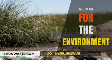 Litter's Environmental Impact: Harmful Effects and Sustainable Solutions Explained