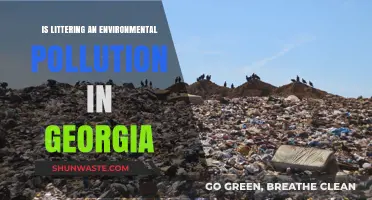 Georgia's Litter Problem: An Environmental Pollution Crisis