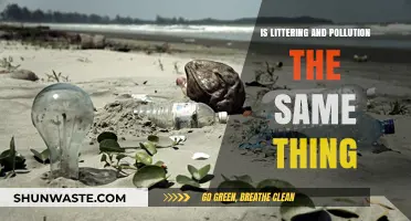 Littering vs Pollution: What's the Difference?