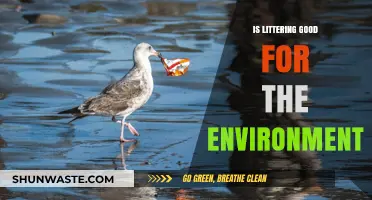 Littering's Environmental Impact: Debunking Myths and Uncovering Harmful Truths