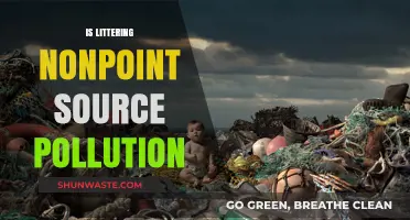 Littering: Nonpoint Source Pollution and its Impact