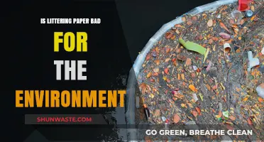 Paper Littering: Environmental Impact and Sustainable Alternatives Explored