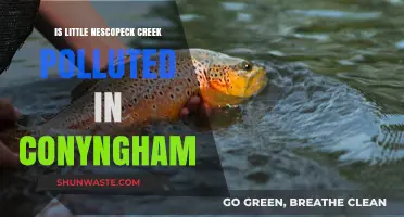 Nescopeck Creek's Pollution Problem in Conyngham