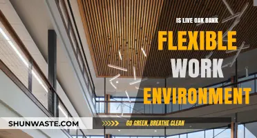 Exploring Live Oak Bank's Flexible Work Environment: Benefits and Insights