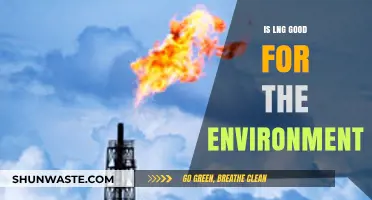 Is LNG Environmentally Friendly? Exploring Its Green Impact and Concerns