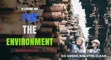 Logging's Environmental Impact: Balancing Industry Needs and Ecosystem Preservation