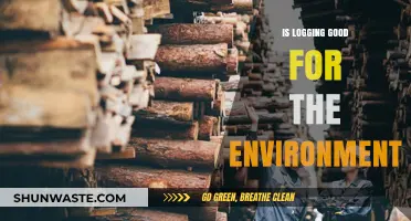 Logging's Environmental Impact: Sustainable Practice or Ecological Threat?