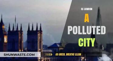 London's Pollution Problem: Is It Getting Worse?