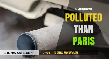 London vs Paris: Who's Winning the Pollution Battle?