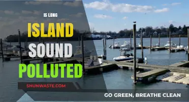 Long Island Sound: Polluted Paradise?