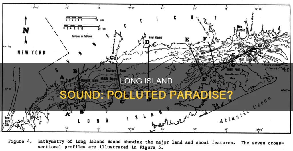 is long island sound polluted