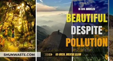 LA's Beauty: Pollution's Silver Lining