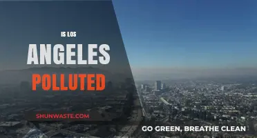 The Smoky Haze: LA's Pollution Problem