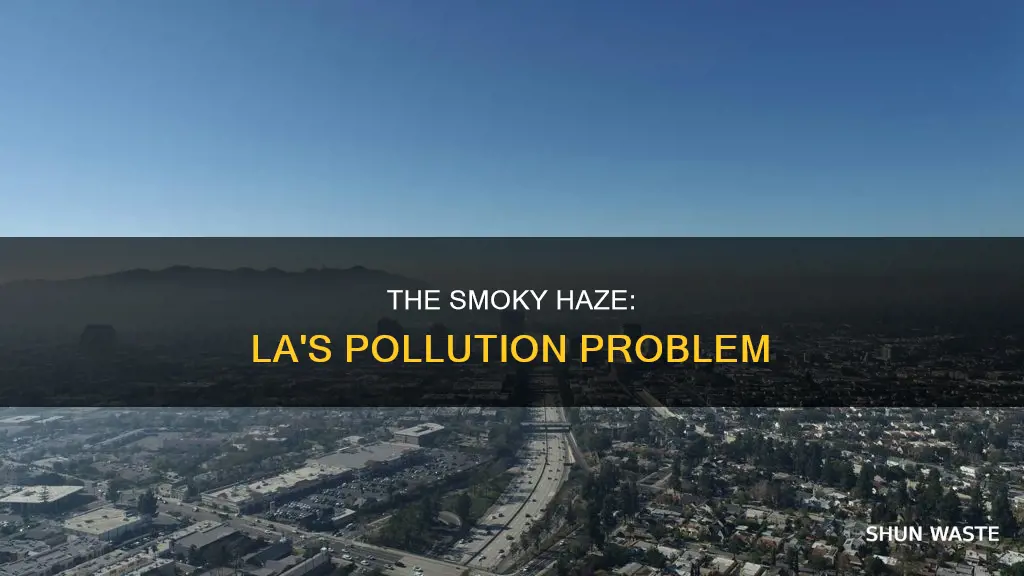 is los angeles polluted