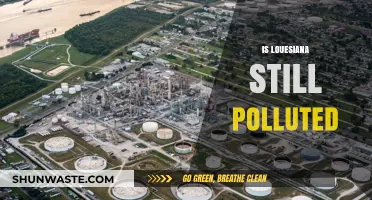 Louisiana's Pollution Problem: Is It Getting Better?