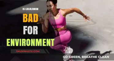 Lululemon's Environmental Impact: Sustainable Fashion or Eco-Unfriendly Brand?