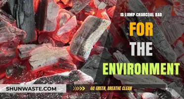 Is Lump Charcoal Eco-Friendly? Environmental Impact Explained