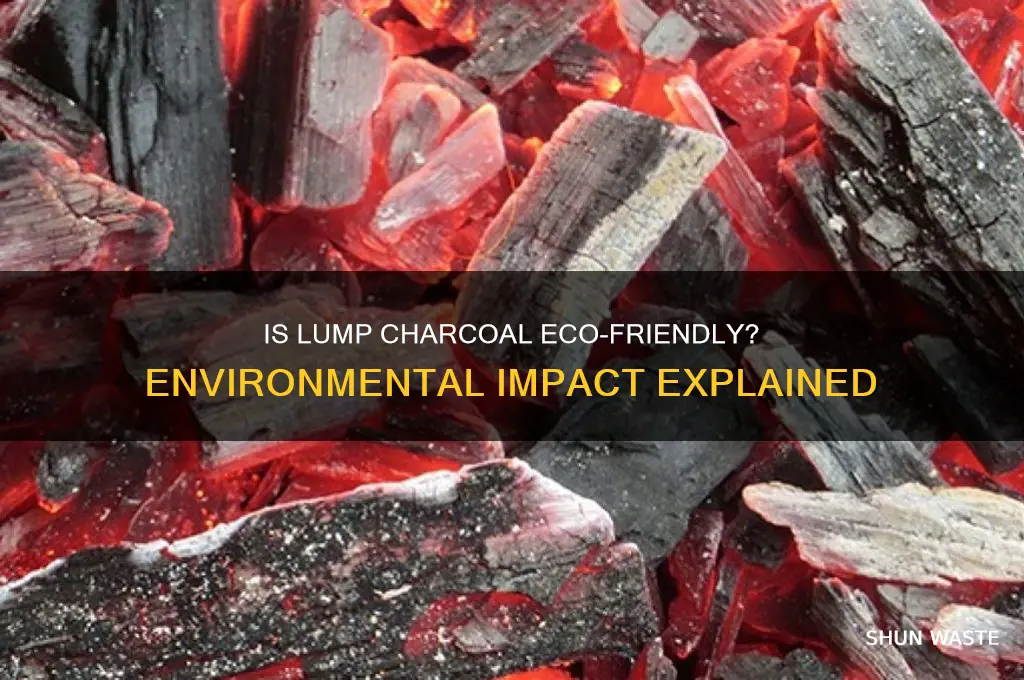 is lump charcoal bad for the environment