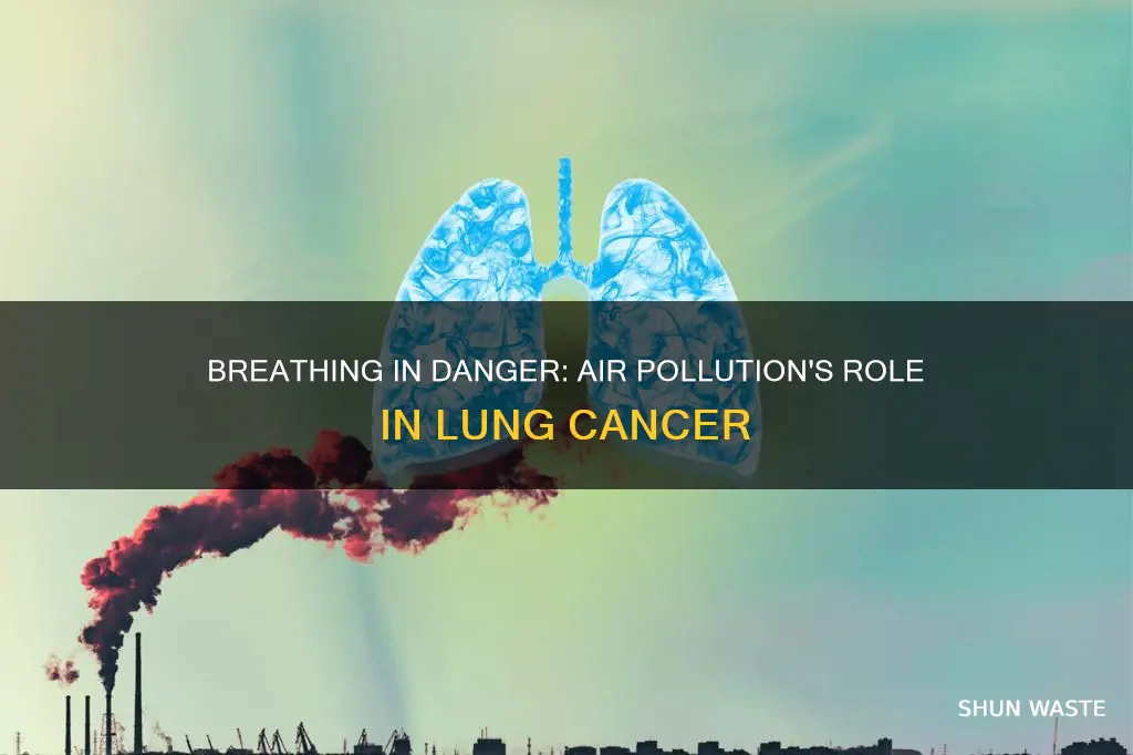 is lung cancer caused by air pollution