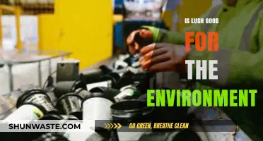 Is Lush Eco-Friendly? Unveiling the Brand's Environmental Impact
