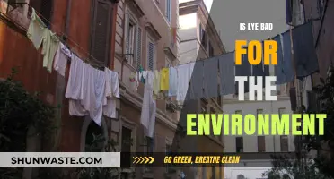 Is Lye Eco-Friendly? Environmental Impact of Sodium Hydroxide Explained
