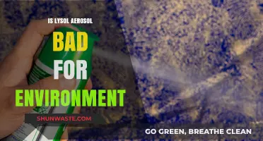 Is Lysol Aerosol Harmful to the Environment? A Critical Look