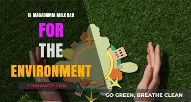 Macadamia Milk's Environmental Impact: Sustainable Choice or Eco-Concern?
