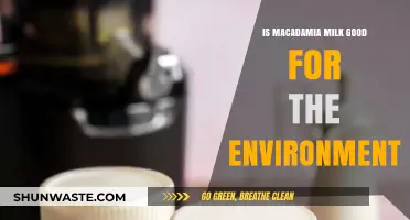 Macadamia Milk: Eco-Friendly Choice or Environmental Concern?