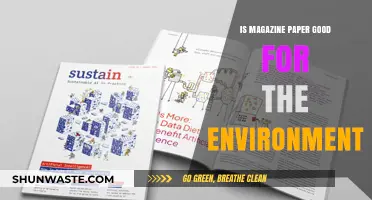 Is Magazine Paper Eco-Friendly? Exploring Its Environmental Impact and Sustainability