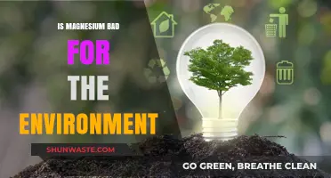 Magnesium's Environmental Impact: Sustainable or Harmful to Our Planet?