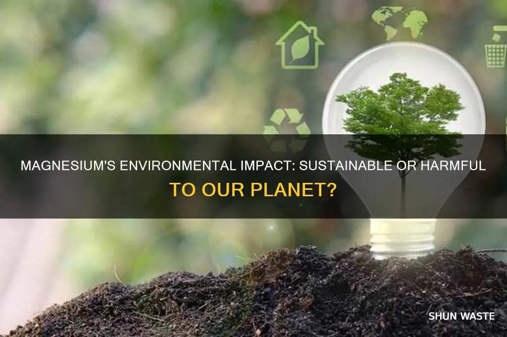 is magnesium bad for the environment