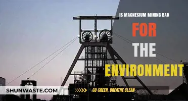 Magnesium Mining's Environmental Impact: Sustainable or Harmful Practice?