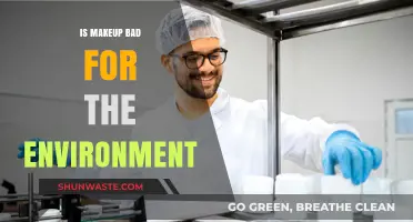 Makeup's Environmental Impact: Uncovering the Hidden Costs of Beauty