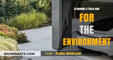 Is Tesla Production Harming the Environment? A Critical Analysis