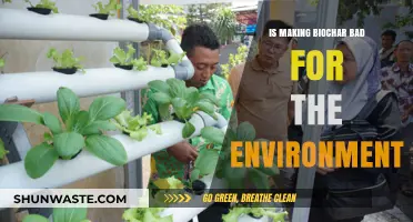 Biochar's Environmental Impact: Sustainable Solution or Hidden Ecological Threat?
