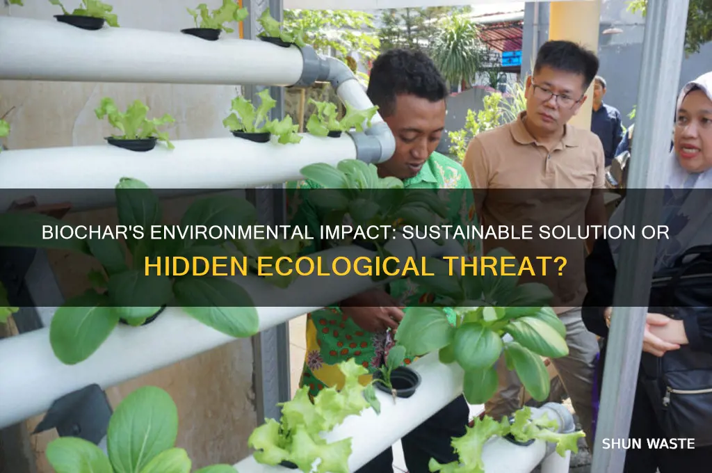 Biochar's Environmental Impact: Sustainable Solution Or Hidden ...