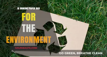 Is Paper Production Harming Our Planet? Environmental Impact Explored